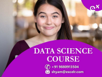 ExcelR Data Science Courses