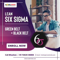 Lean Six Sigma Green Belt + Black Belt Training & Certification