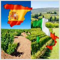 Italy vs. Spain - Blind Wine Showdown [July 9]
