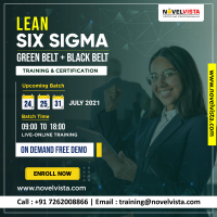 Lean Six Sigma: Green Belt + Black Belt Training and Certification course