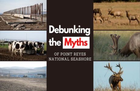 Debunking the Myths of Point Reyes National Seashore, Online Event, United States