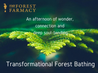 Transformational Forest Bathing