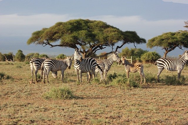 3 Days Masai Mara Camping Safari, Nairobi Kenya, Nairobi, Kenya