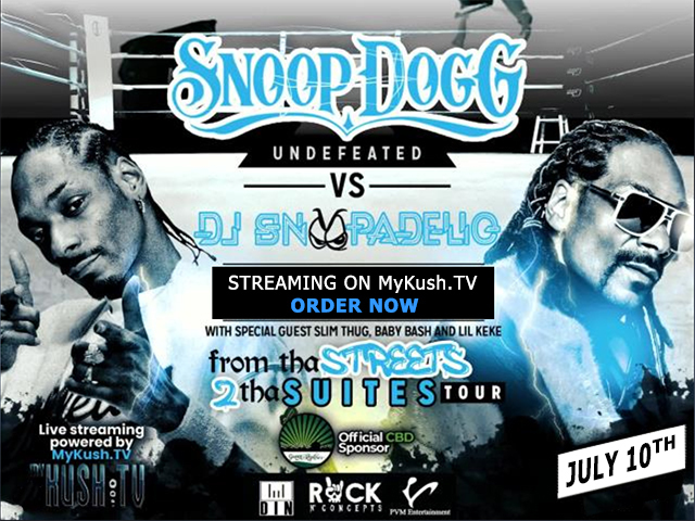 Snoop Dogg VS DJ Snoopadelic:From tha Streets to tha Suites, Virtual Event, United States