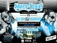 Snoop Dogg VS DJ Snoopadelic:From tha Streets to tha Suites