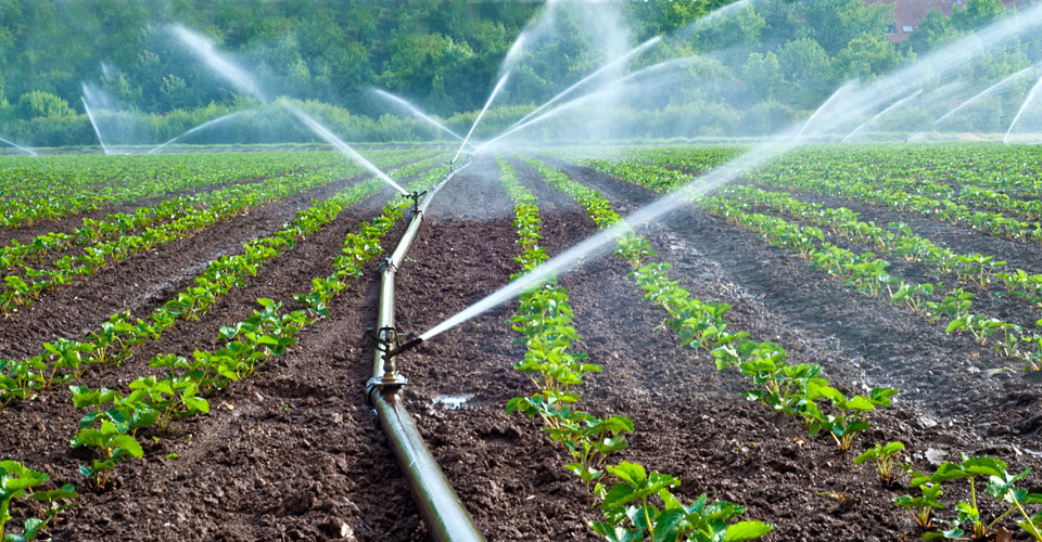 Irrigation and Operational Maintenance Course, Nairobi, Kenya