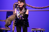 The Amazing Acro-cats Astound Asheville