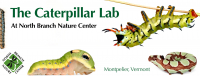 The Caterpillar Lab