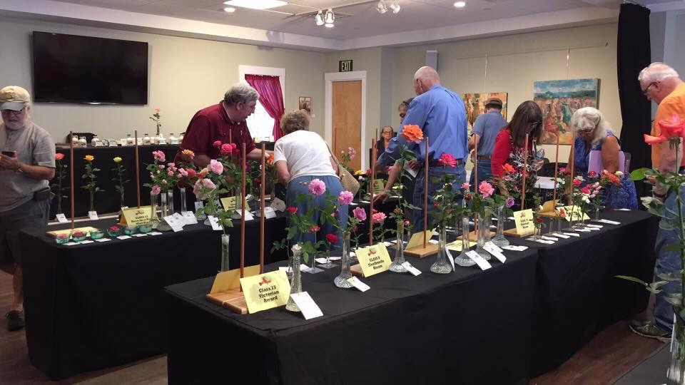 American Rose Society Yankee District Rose Show-September 18th., Chatham, Massachusetts, United States