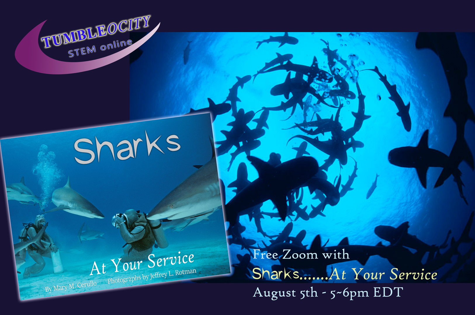 Do You Know a 7 – 9 year old Who Loves Learning about Sharks?, Virtual Event, United States