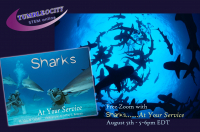 Do You Know a 7 – 9 year old Who Loves Learning about Sharks?
