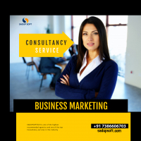 Business Consulatancy Services