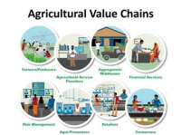 Agricultural Value Chain Development and Market Linkages Course