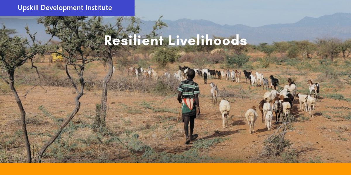 Resilient Livelihoods Training Course, Nairobi, Kenya