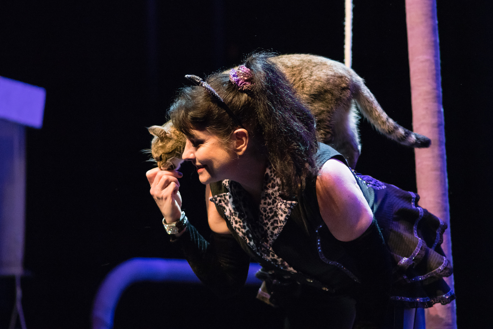 The Amazing Acro-cats Bounce into Baltimore!, Baltimore, Maryland, United States