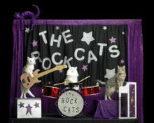 The Amazing Acro-cats Pounce into Portland!, Portland, Maine, United States