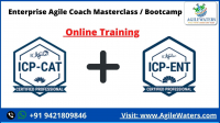 Enterprise Agile Coach Masterclass / Bootcamp