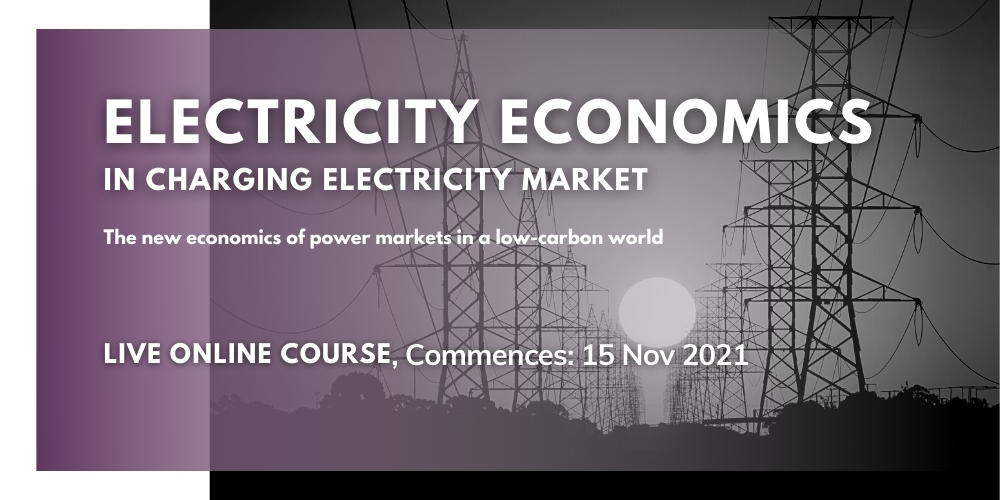 Electricity Economics in Changing Electricity Markets, Singapore, Central, Singapore