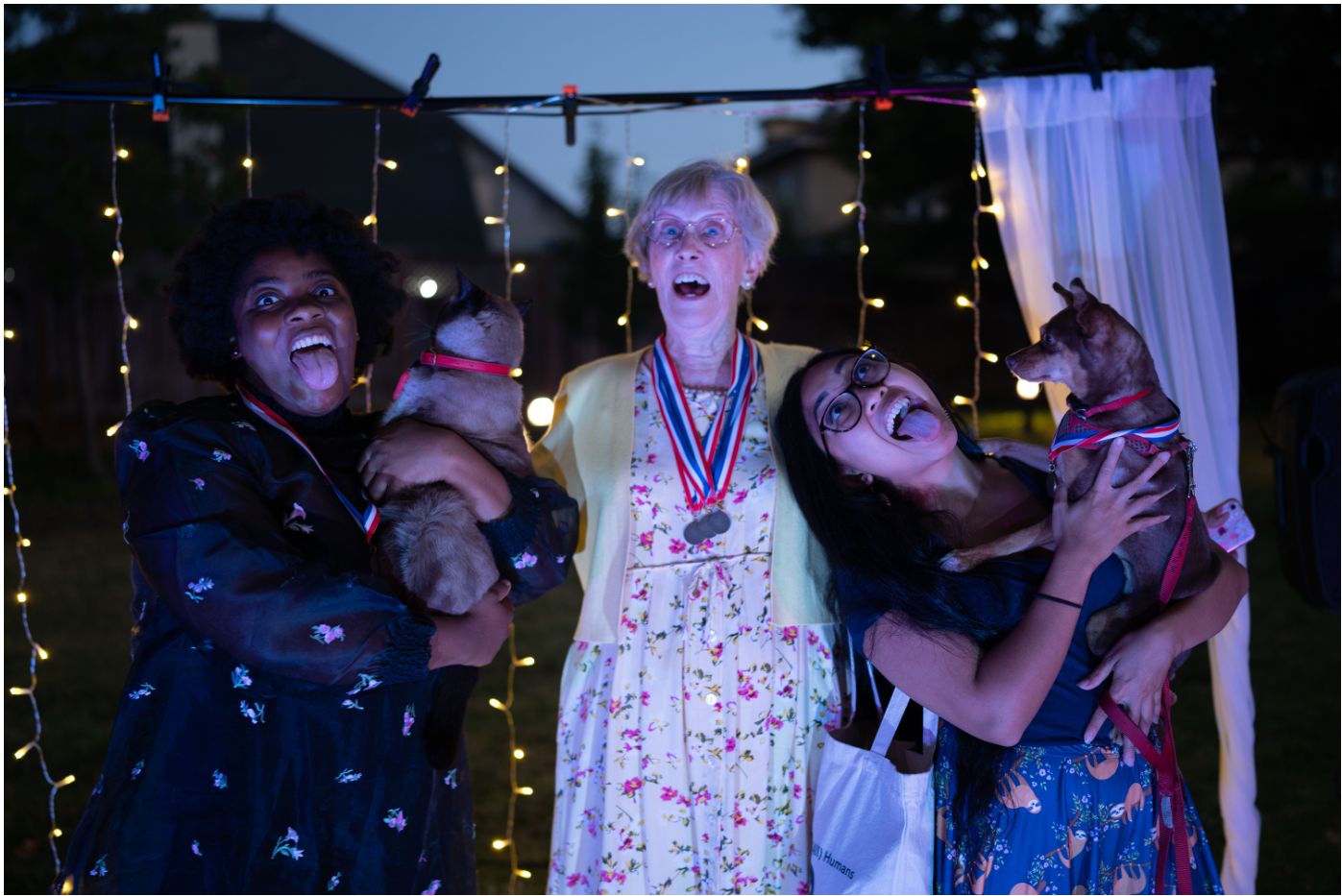 The Neighborhood Show - Comedy and Community, Online, United States