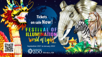Festival of Illumination World of Lights