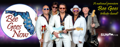 Bee Gees Now