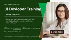 UI Developer Training | IBM IT Solutions