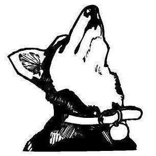Howling Dog Saloon Presents... Thirsty Nite Jam!, Fox, Alaska, United States