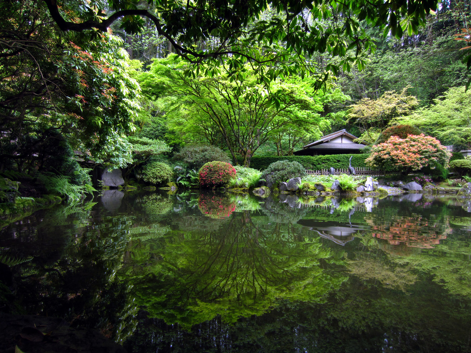 The Japanese Garden: Living Classroom of Nature, Architecture & Culture, Online Event