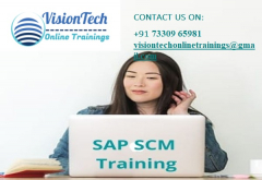 SAP SCM Training | SAP SCM Online Training - Vision Tech