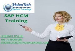 SAP HCM Training | SAP HCM Online Training - Vision Tech