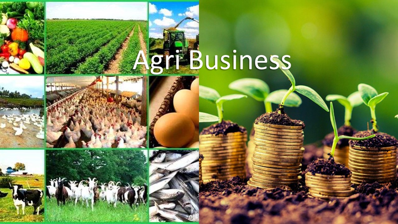 Agri-Business, Enterprise Development and Market Linkage Course, Online Event