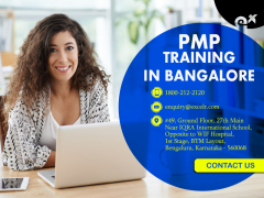 ExcelR - PMP Training In Bangalore