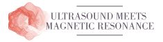 Ultrasound meets Magnetic Resonance Conference, Paris, France