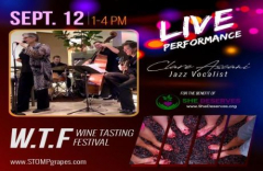 W.T.F (Wine Tasting Festival)