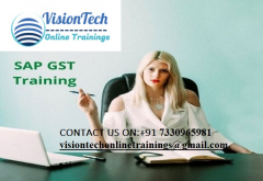 SAP GST Training | SAP GST ONLINE Training - Vision Tech