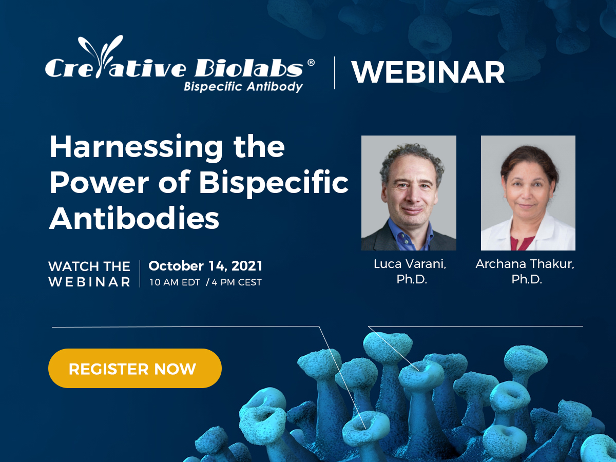 Webinar: Harnessing the Power of Bispecific Antibodies, Online Event