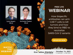 Webinar: Harnessing the Power of Bispecific Antibodies