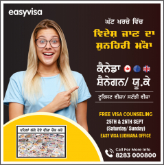 Free One to One Visa Counseling