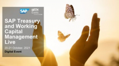 SAP Treasury and Working Capital Management Live 2021