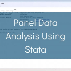 PANEL DATA MODELS IN STATA COURSE