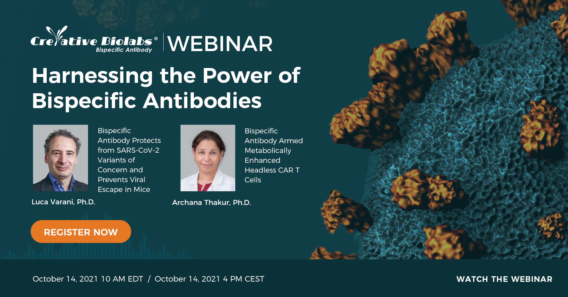 Harnessing the Power of Bispecific Antibodies, Online Event