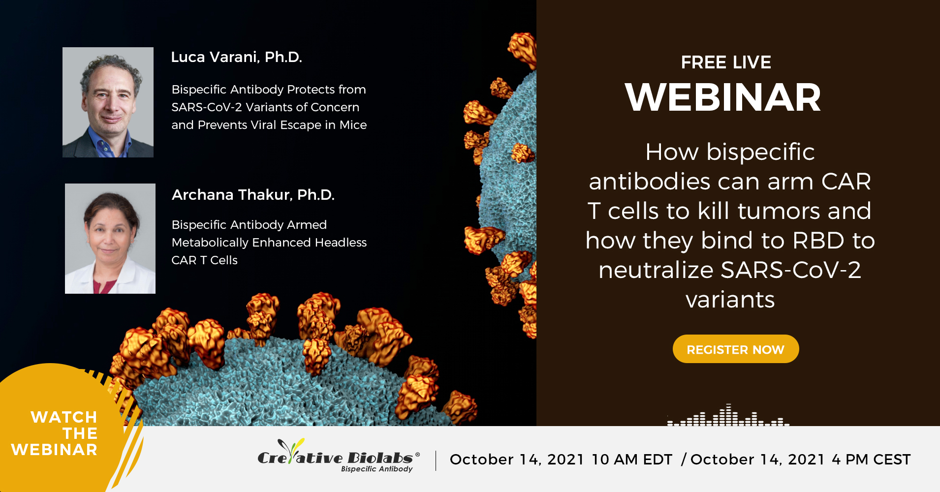 Harnessing the Power of Bispecific Antibodies, Online Event