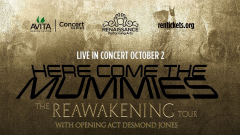 Here Come the Mummies - Live Concert