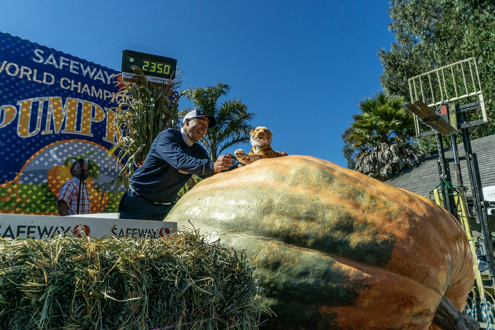 Half Moon Bay's 48th Safeway World Championship Pumpkin Weigh-Off, Half Moon Bay, California, United States