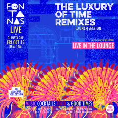 The Fontanas - Luxury Of Time Remix EP Launch Session - Live In The Lounge