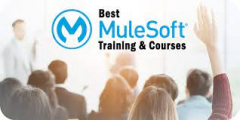 Get Free Online Demo on Mulesoft Training