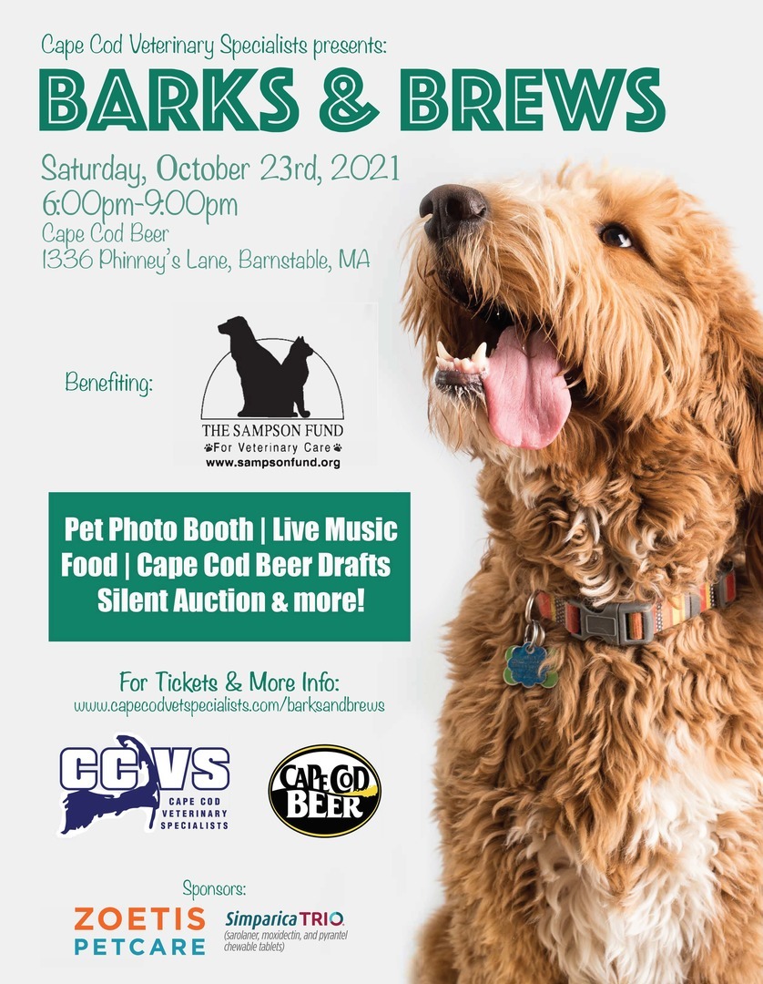 Barks and Brews 2021, Barnstable, Massachusetts, United States