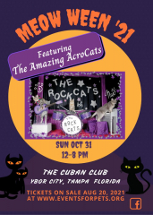 Celebrate Meow-ween with the Amazing Acro-cats!
