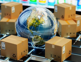 Customs Enforcement: Avoiding and Mitigating Fines, Penalties, and Forfeitures for Importers, Online Event
