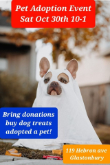 Halloween Pet Adoption to benefit Ct.Pregnant Dogs and Cats and their new shelter!